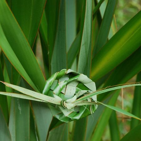 彭特派因Coast Norfolk Island公寓 外观 照片